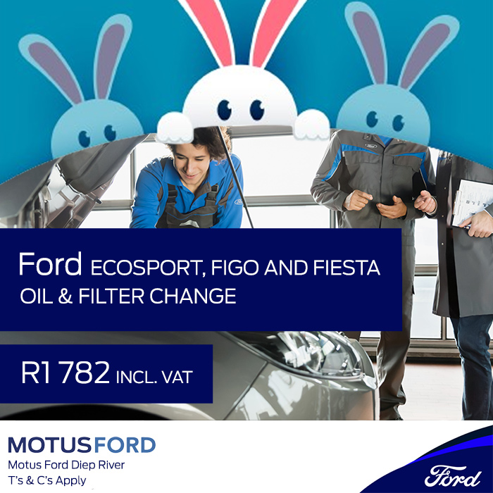 ford-figo-ecosport-fiesta-oil-and-filter-change