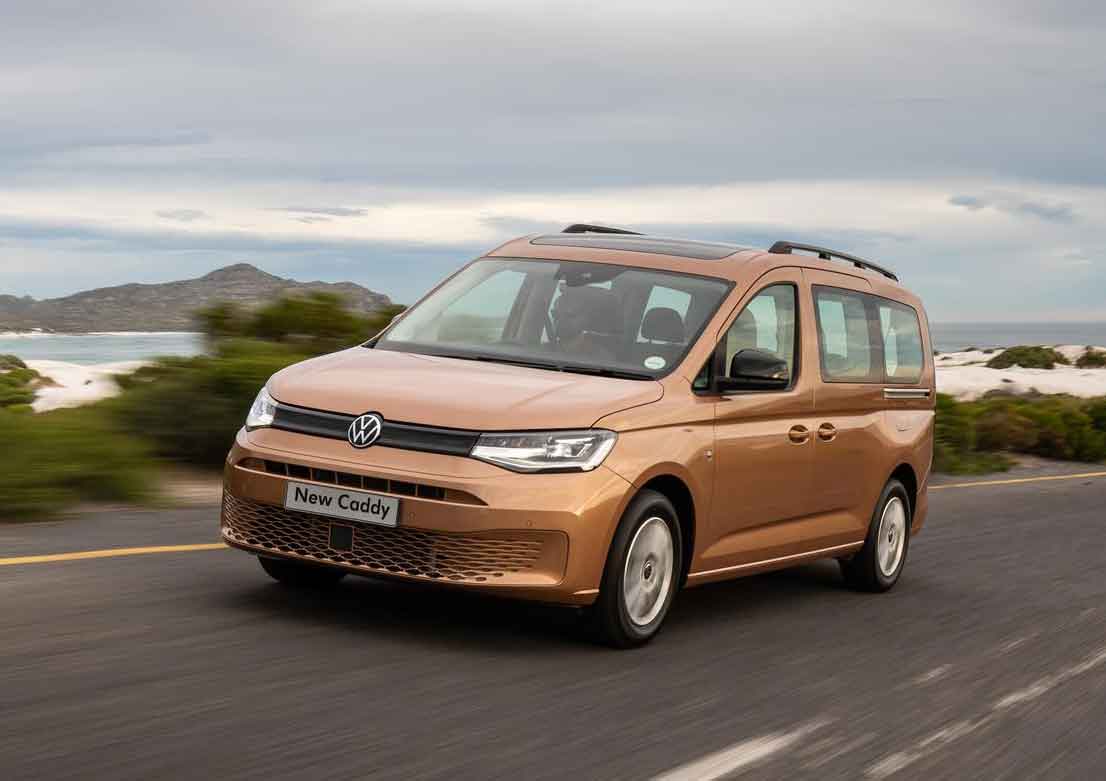 My pets are my kids: VW Caddy blog card image