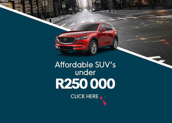 affordable-suv-s-under-r250-0000